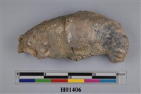 藏品(牡蠣)的圖片